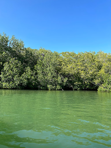 Rio Lagartos Discovery - Thumbnail