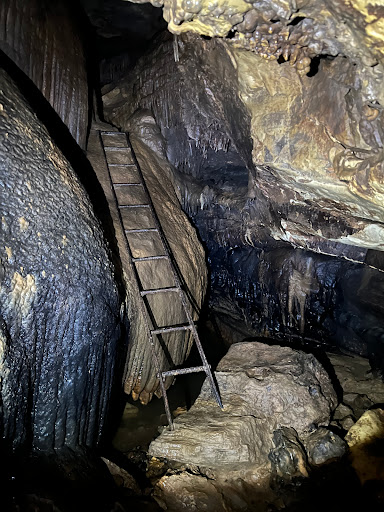 Illinois Caverns - Visual