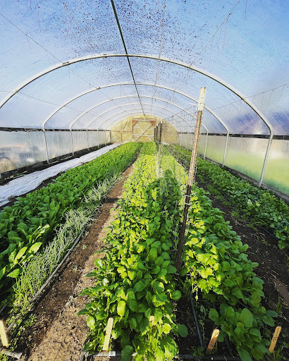 Redwood Roots Farm Cooperative