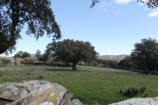 Merendero La Aliseda