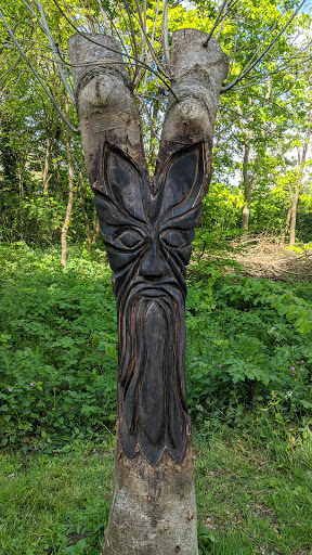 Croft Field, Bishop Chester's Nature Area Gallery - United Kingdom