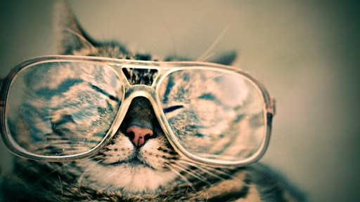 Furry Friends Plus - Visual