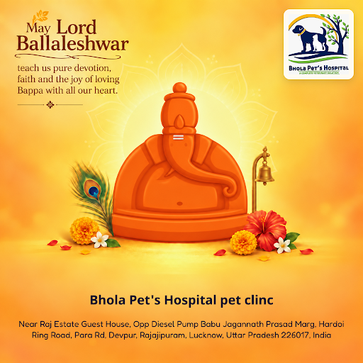 Discover compassionate care at Bhola Pet's Hospital this Ganpati 2026 season. As an animal hospit… post image