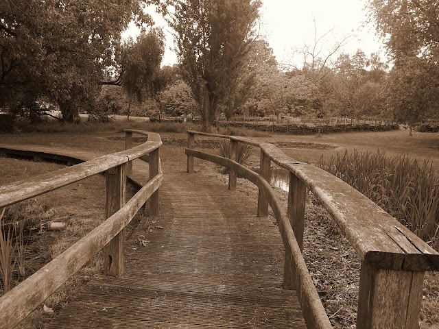 Arborerum de Paris