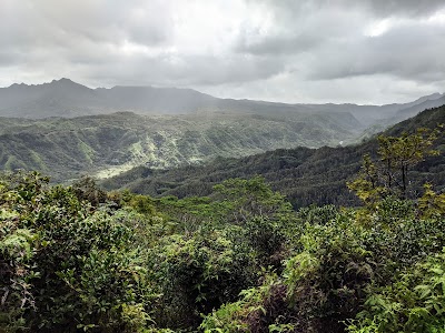 Okolehao Hiking Trailhead