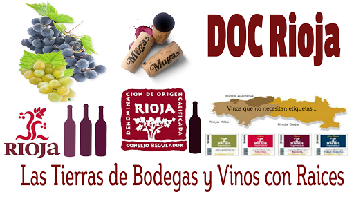 DOC Rioja - Visual