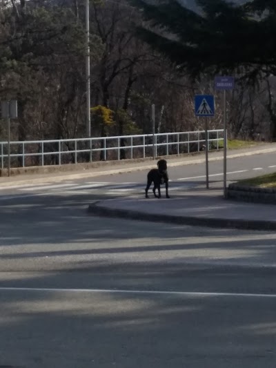 Photos of TZ Čavle