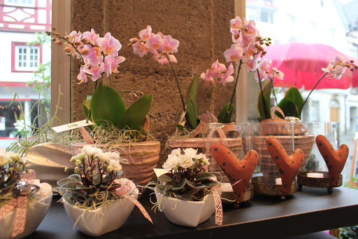 Blumen Jeniffer - Thumbnail