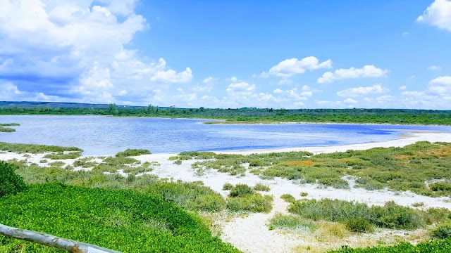 Nature reserve Salina dei Monaci