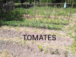 Photo n°56 de Le Domaine des Minis à Arvert (Ferme)