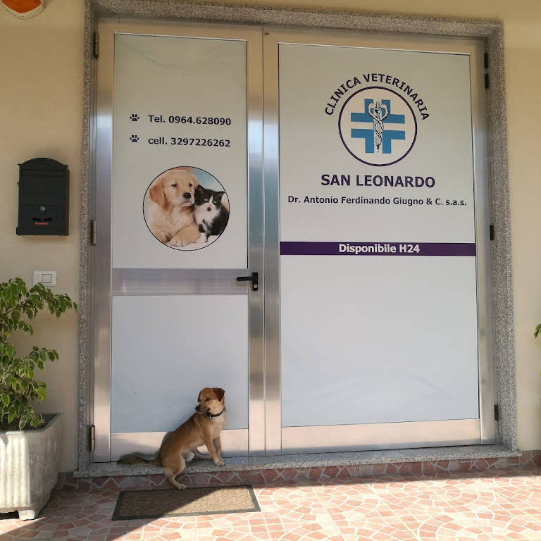 clinica veterinaria h24 vicino a me