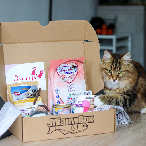 WoefBox & MiauwBox - Thumbnail