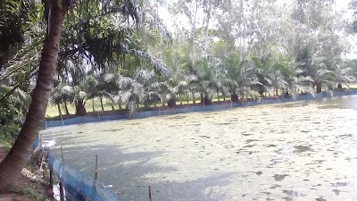Photos of Tree Ratno Poultry Farm