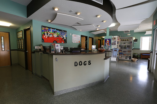 Charlotte Street Animal Hospital Gallery - United States