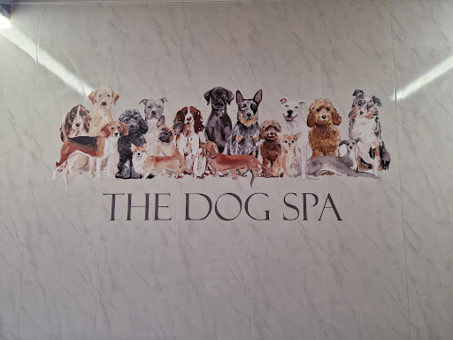 The Dog Spa Hutton