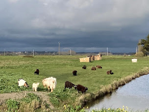 Photo n°4 de Safe Water Cube - Association Agir Ensemble à Villeneuve-en-Retz (Siège social)