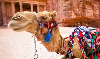 Photos of Morocco Rent Bus