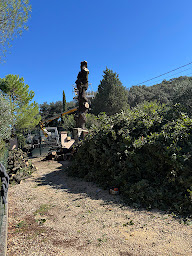 Photo n°22 de ZR Elagueur 30 Saint-Christol-lez-Alès à Saint-Christol-lez-Alès (Service d'élagage)