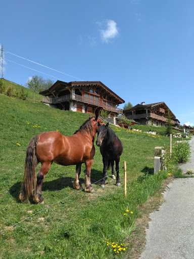 MONTAGNART