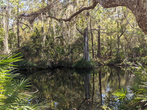 John Chesnut Sr. Park Gallery - United States