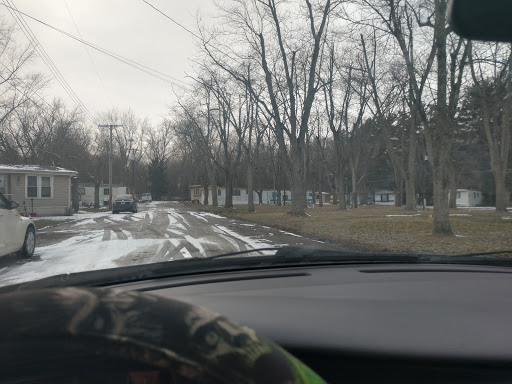 Midpoint Woods - Visual