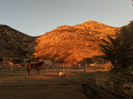 San Diego River Park Trail, El Monte Valley - Thumbnail