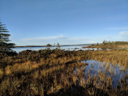 Bay Du Nord Wilderness Reserve