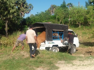 Photos of Embung Bimoku