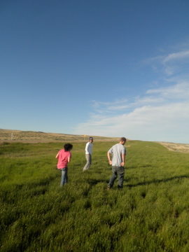 Rest Area - Flowing Wells - Thumbnail