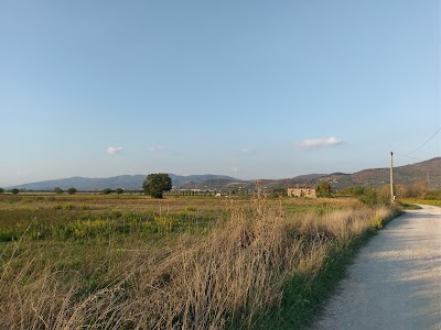 Photos of Il Grifone A Cortona Residence