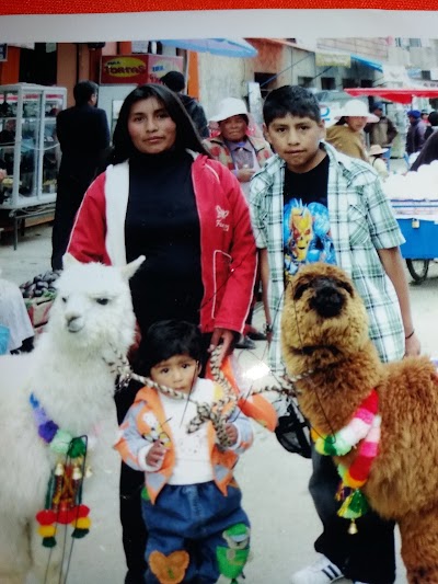 grocery-or-supermarket