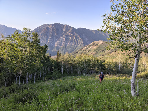 Maple Mountain - Visual