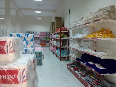 Photos of EFOR