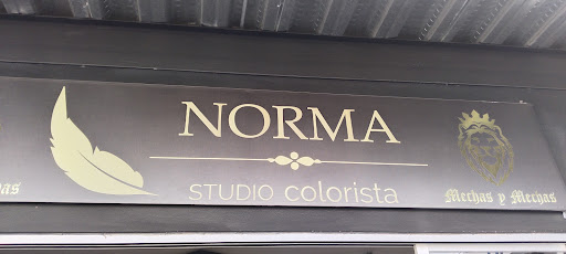 Norma Salon estudio colorista - Thumbnail