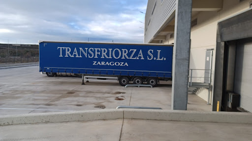 Transfrior-za - Visual