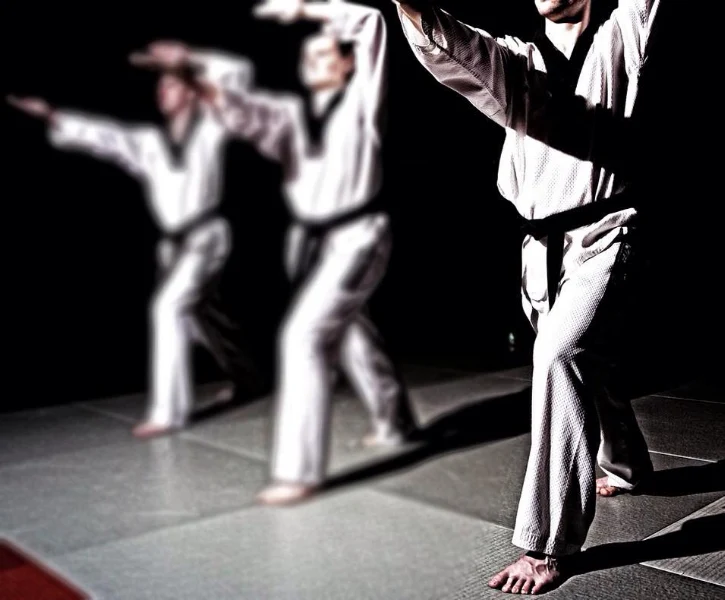Monteux Taekwondo Club photo