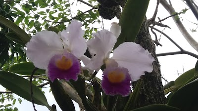 Photos of Guayabal De S&iacute;quima Main Park
