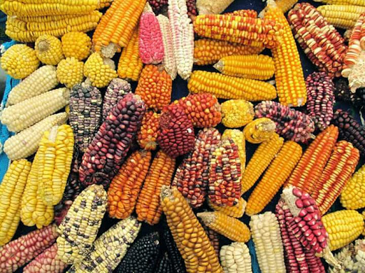 Insumos y Alimentos Balanceados El Sureño - Thumbnail