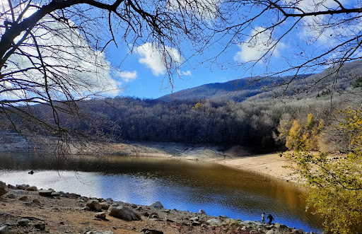 Els Empedrats del Montseny - Thumbnail