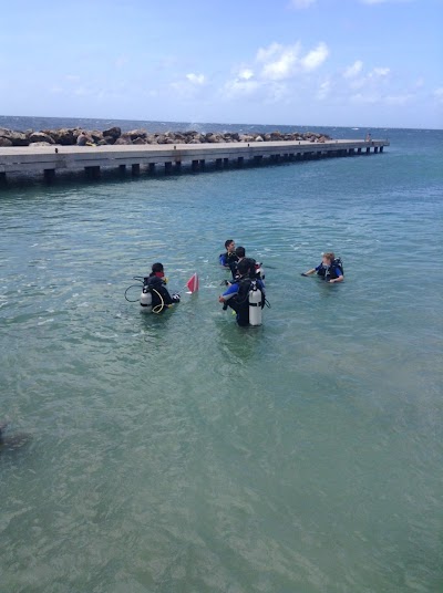Photos of Divers of the Caribbean