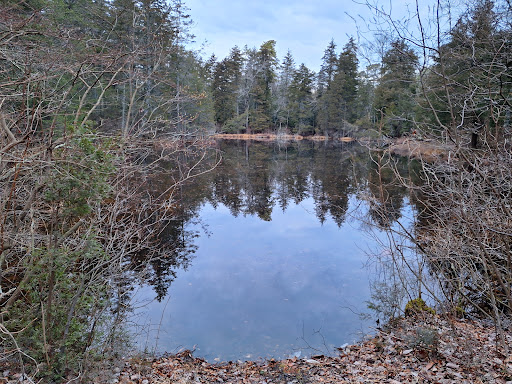 Glassboro Wildlife Management Area - Thumbnail