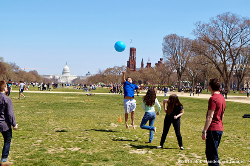 NYU Washington, DC - Thumbnail