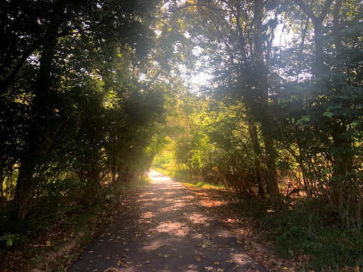 Sequoia Farms Park - Thumbnail