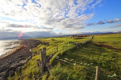 Photos of T-b&aelig;r Selvogi