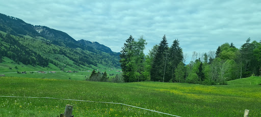 Parkplatz Alpsee Bergwelt - Thumbnail