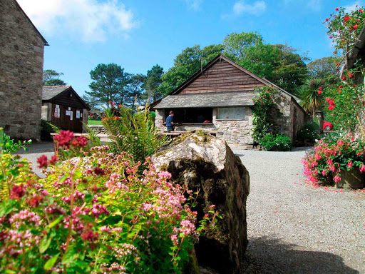Trewan Hall - Thumbnail