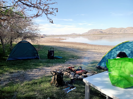 Sotol Torrecillas - Thumbnail
