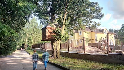 Photos of Khram V Chest' Sobora Vsekh Belorusskikh Svyatykh G.grodno