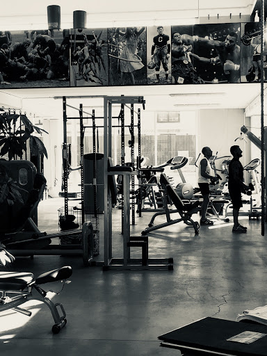 Palestra D.N.A. - Visual