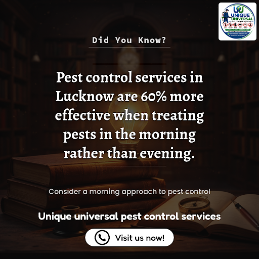 Pest control services post image